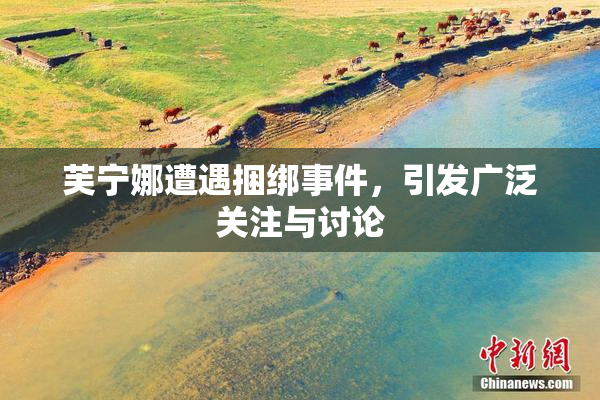 芙宁娜遭遇捆绑事件，引发广泛关注与讨论