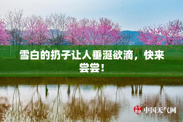 雪白的扔子让人垂涎欲滴，快来尝尝！