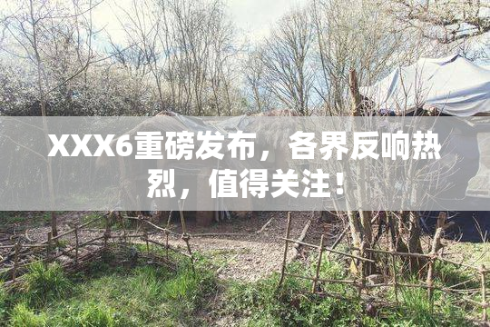 XXX6重磅发布，各界反响热烈，值得关注！
