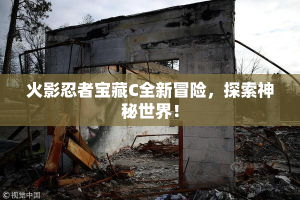 火影忍者宝藏C全新冒险，探索神秘世界！