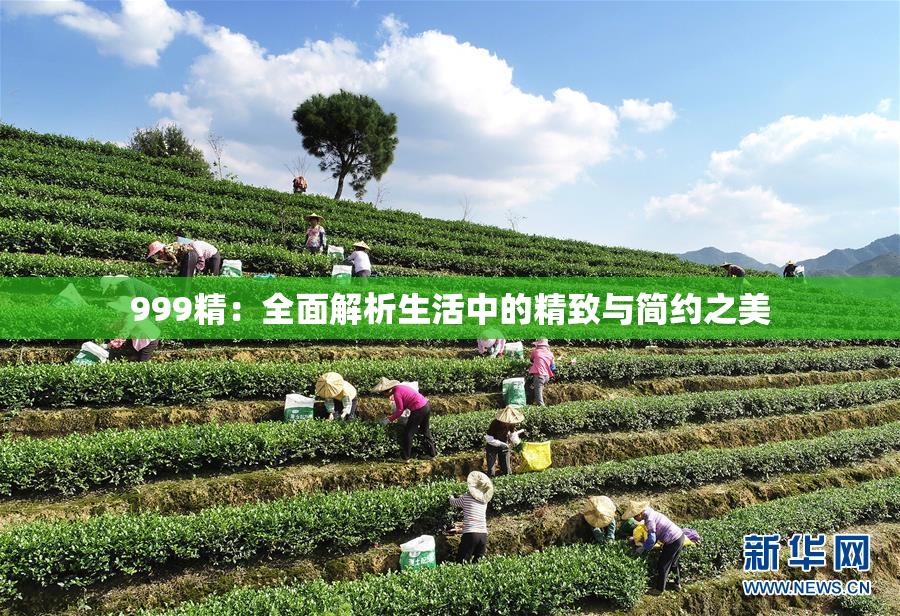 999精：全面解析生活中的精致与简约之美