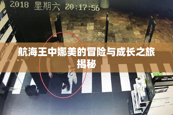航海王中娜美的冒险与成长之旅揭秘