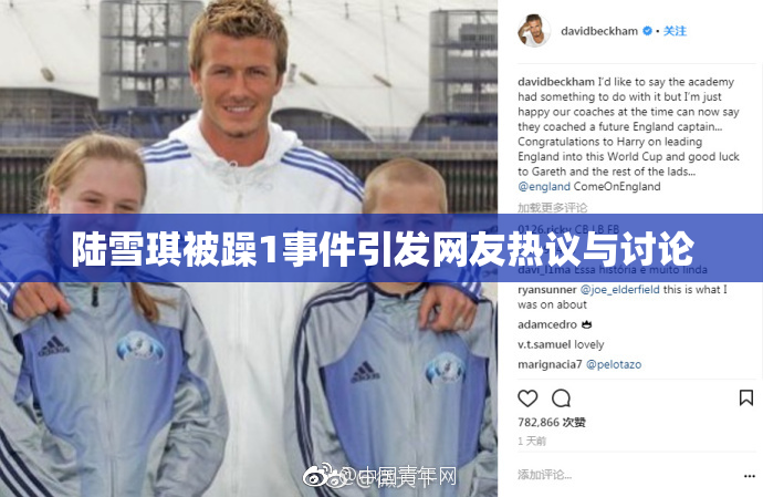 陆雪琪被躁1事件引发网友热议与讨论