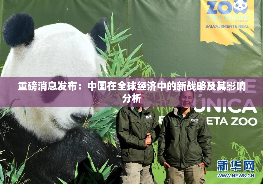 重磅消息发布：中国在全球经济中的新战略及其影响分析