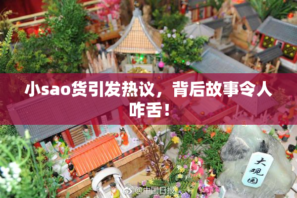 小sao货引发热议，背后故事令人咋舌！