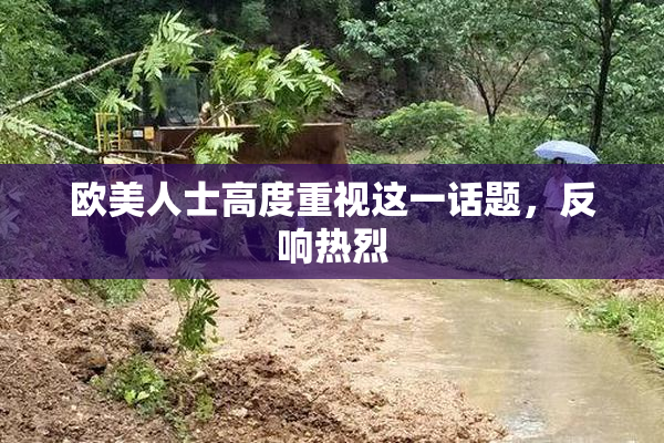 欧美人士高度重视这一话题，反响热烈