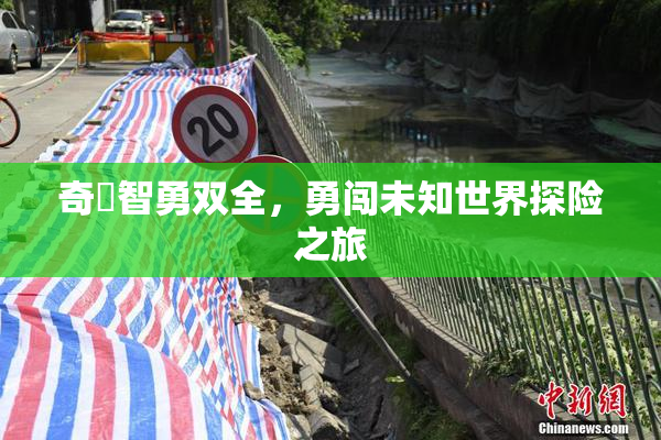奇犽智勇双全，勇闯未知世界探险之旅