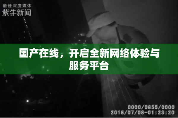国产在线，开启全新网络体验与服务平台