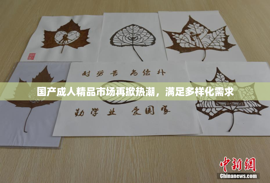国产成人精品市场再掀热潮，满足多样化需求
