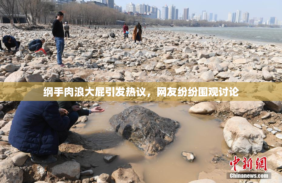 纲手肉浪大屁引发热议，网友纷纷围观讨论