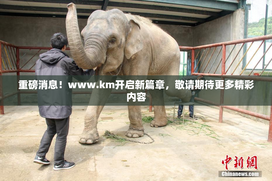 重磅消息！www.km开启新篇章，敬请期待更多精彩内容