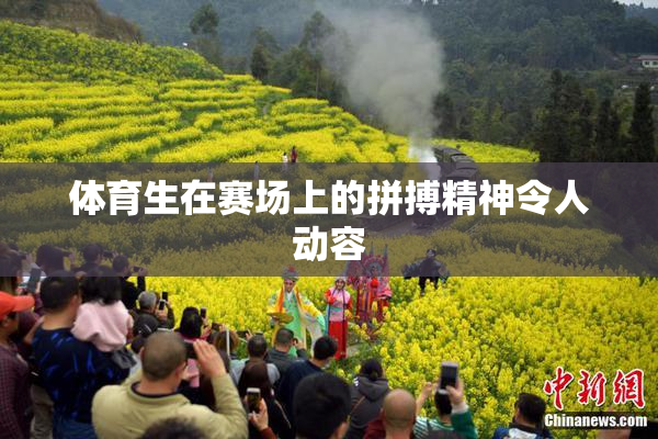 体育生在赛场上的拼搏精神令人动容