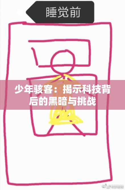 少年骇客：揭示科技背后的黑暗与挑战