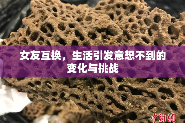 女友互换，生活引发意想不到的变化与挑战