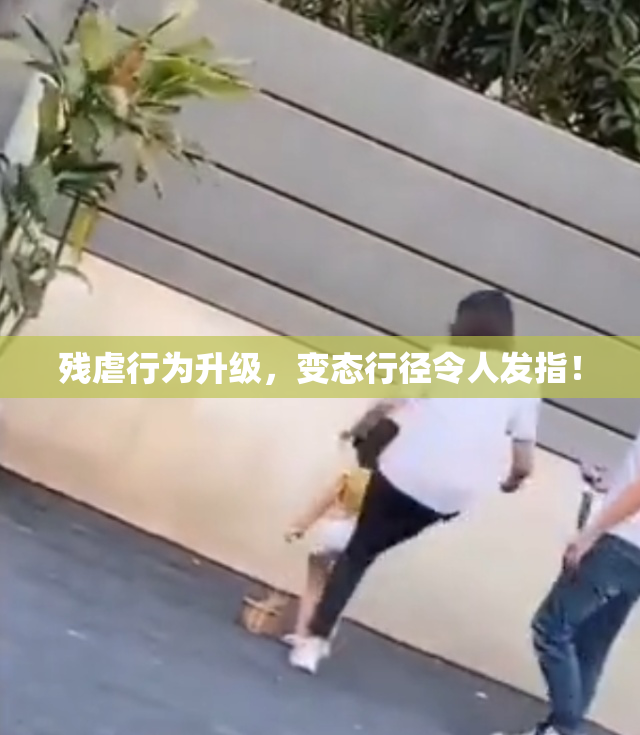残虐行为升级，变态行径令人发指！