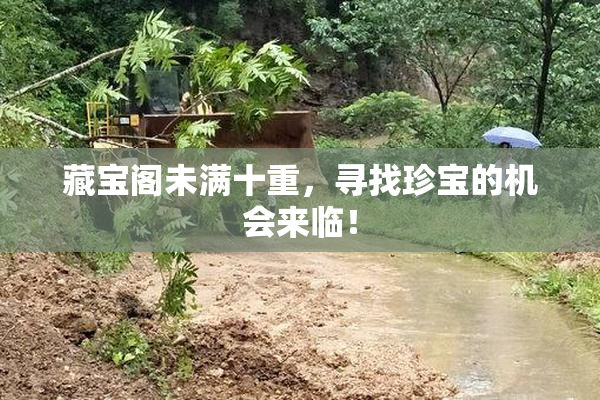 藏宝阁未满十重，寻找珍宝的机会来临！
