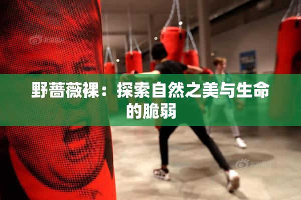 野蔷薇裸：探索自然之美与生命的脆弱