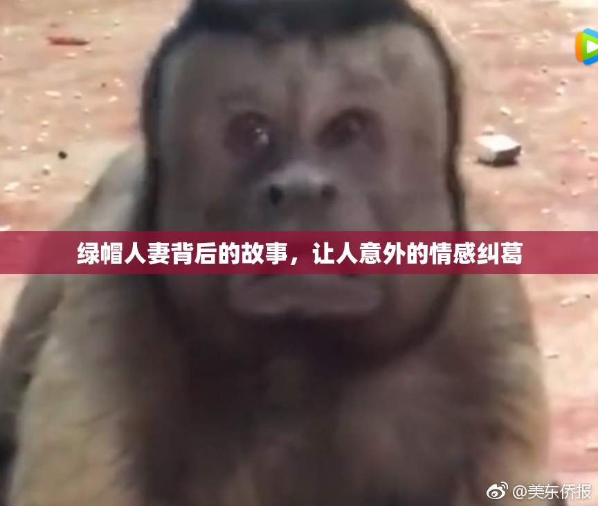 绿帽人妻背后的故事，让人意外的情感纠葛