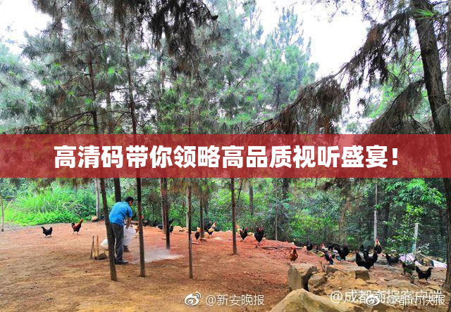 高清码带你领略高品质视听盛宴！