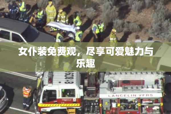 女仆装免费观，尽享可爱魅力与乐趣