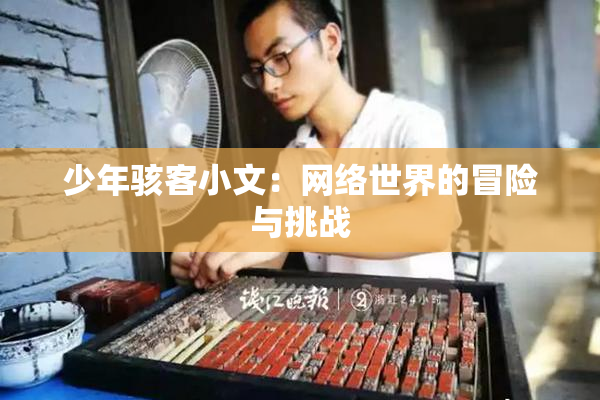 少年骇客小文：网络世界的冒险与挑战