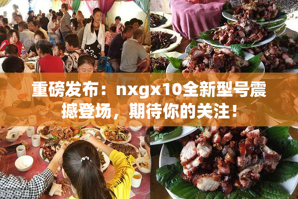 重磅发布：nxgx10全新型号震撼登场，期待你的关注！