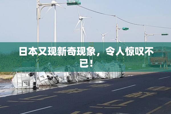 日本又现新奇现象，令人惊叹不已！