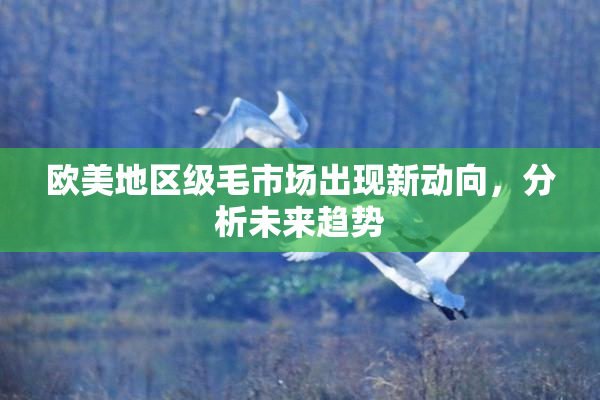 欧美地区级毛市场出现新动向，分析未来趋势
