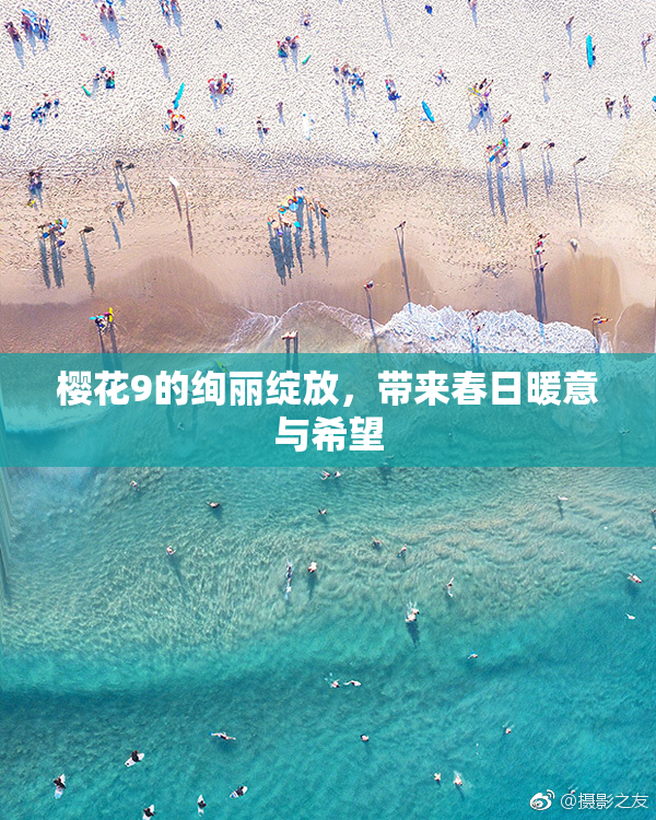 樱花9的绚丽绽放，带来春日暖意与希望