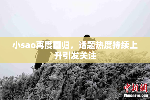 小sao再度回归，话题热度持续上升引发关注