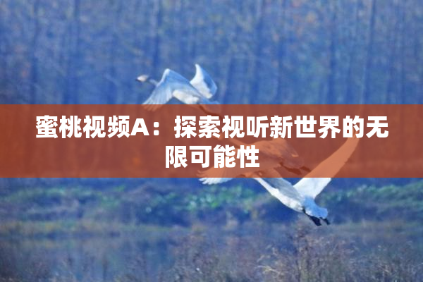 蜜桃视频A：探索视听新世界的无限可能性