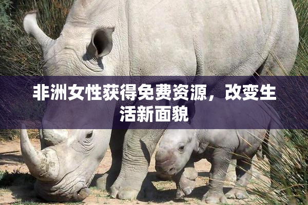 非洲女性获得免费资源，改变生活新面貌