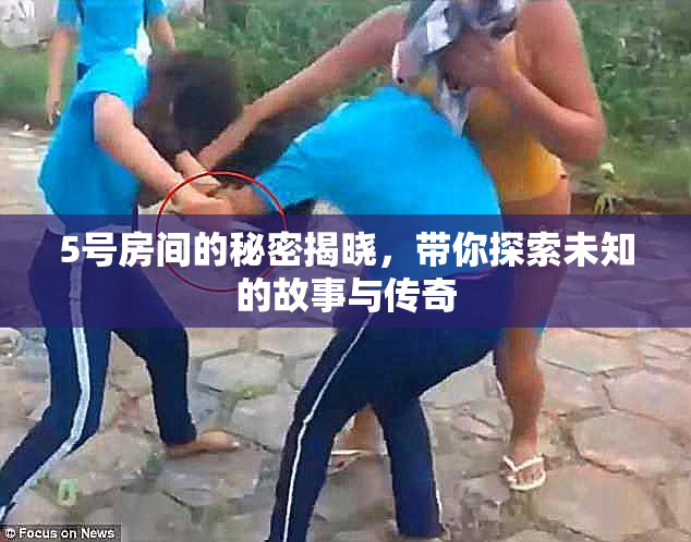 5号房间的秘密揭晓，带你探索未知的故事与传奇