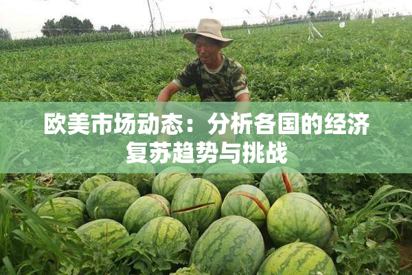 欧美市场动态：分析各国的经济复苏趋势与挑战