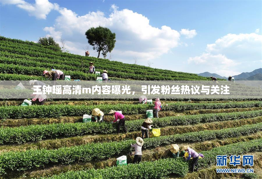 王钟瑶高清m内容曝光，引发粉丝热议与关注