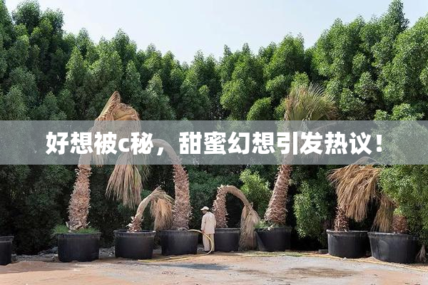 好想被c秘，甜蜜幻想引发热议！