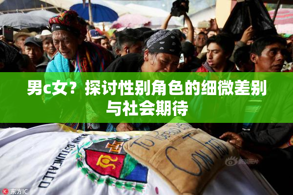 男c女？探讨性别角色的细微差别与社会期待