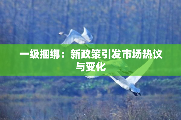 一级捆绑：新政策引发市场热议与变化