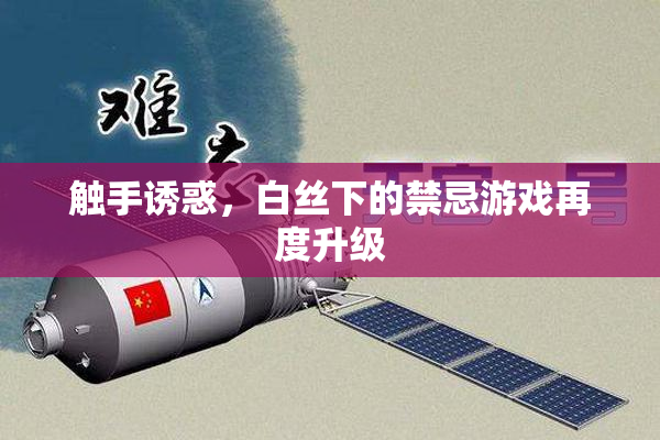 触手诱惑，白丝下的禁忌游戏再度升级