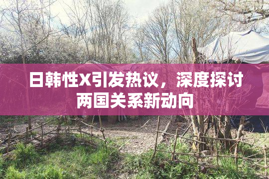 日韩性X引发热议，深度探讨两国关系新动向