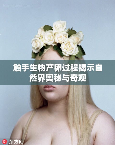 触手生物产卵过程揭示自然界奥秘与奇观