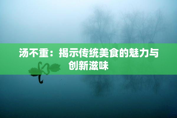 汤不重：揭示传统美食的魅力与创新滋味