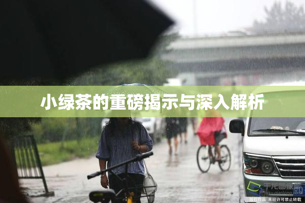 小绿茶的重磅揭示与深入解析