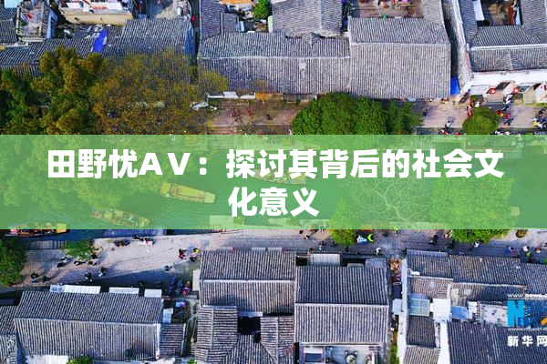 田野忧AⅤ：探讨其背后的社会文化意义