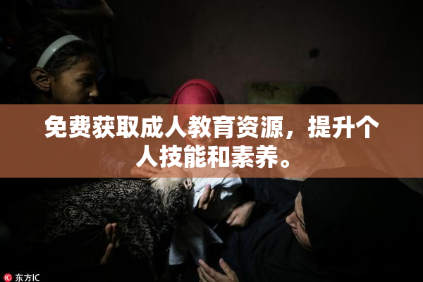 免费获取成人教育资源，提升个人技能和素养。