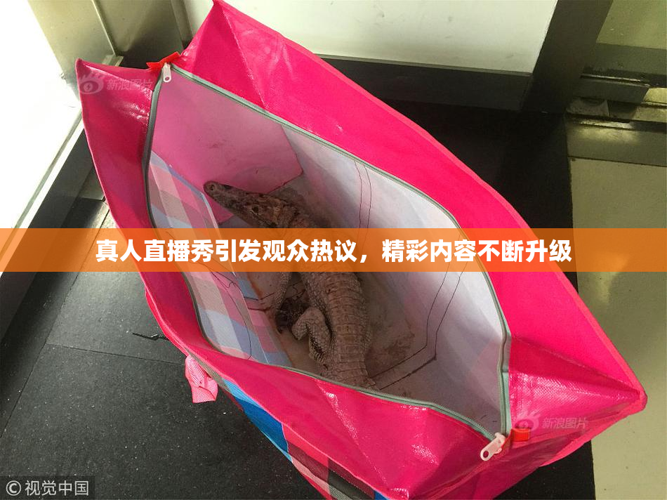 真人直播秀引发观众热议，精彩内容不断升级