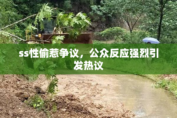 ss性偷惹争议，公众反应强烈引发热议