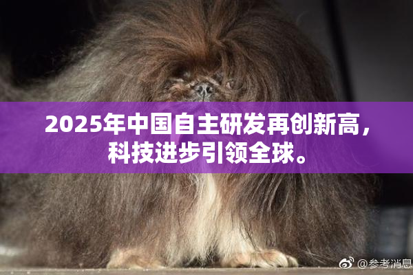 2025年中国自主研发再创新高，科技进步引领全球。