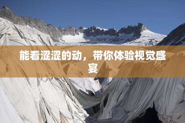 能看涩涩的动，带你体验视觉盛宴