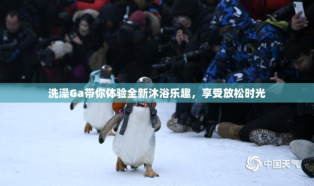 洗澡Ga带你体验全新沐浴乐趣，享受放松时光